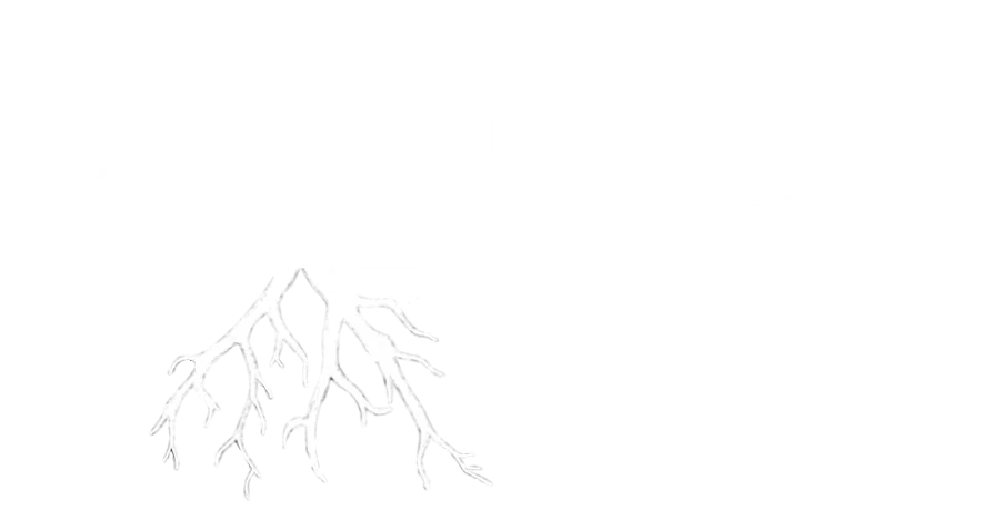Adept Landscape and Construction Inc.