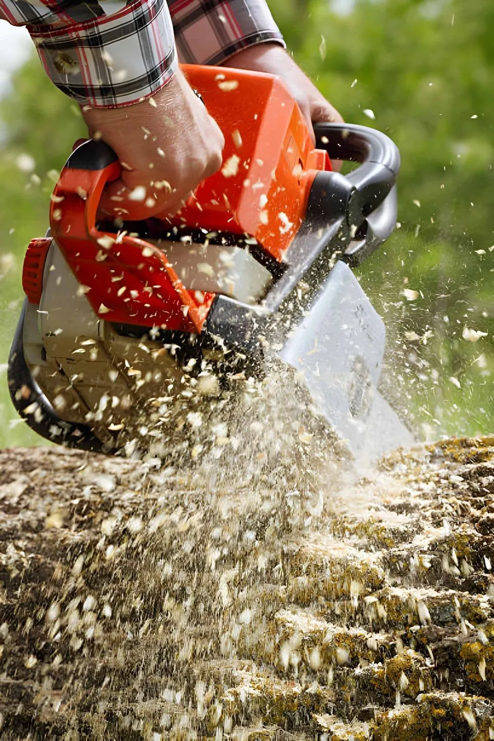 Tree Removal in Crossfield, AB